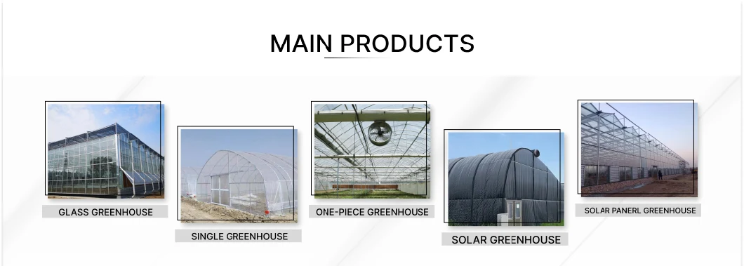 Commercial Multispan Grow Tent Tunnel Solar Plastic Greenhouse Agriculture Accessories