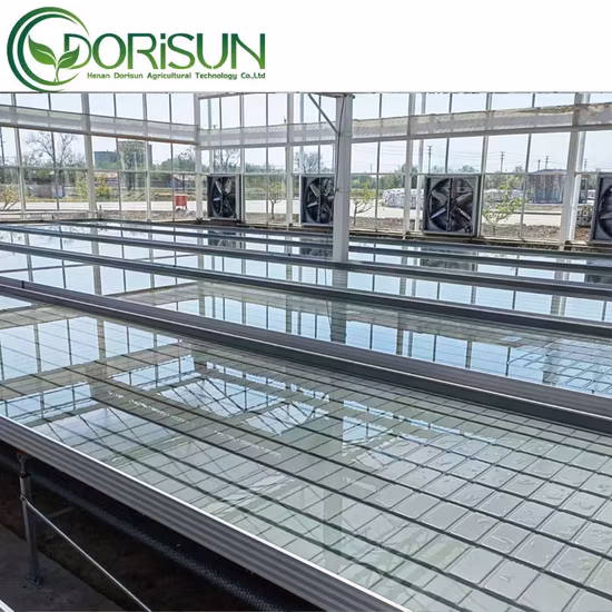 Easy Installation, Fastening, Rust Resistance Commercial Grow Tent Tunnel Plastic Greenhouse Accessories