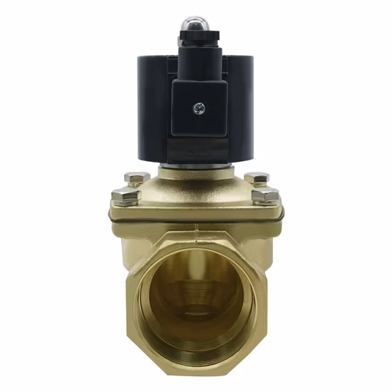 2W Series Direct Acting Normally Closed Waterproof Solenoid Valve (2W