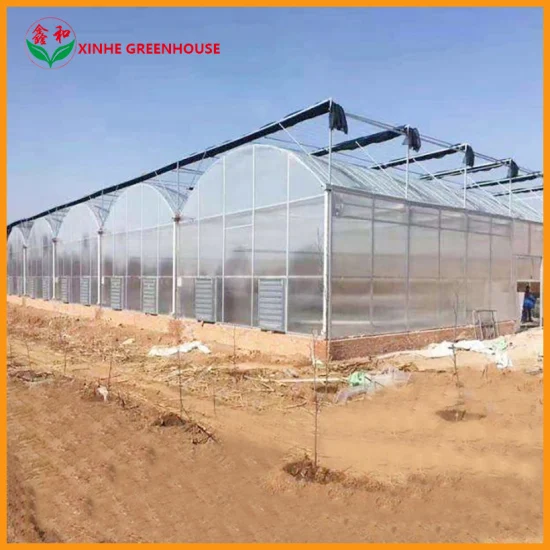 Fixed Tube Commercial Grow Tent Tunnel Plastic Solar Greenhouse Accessories